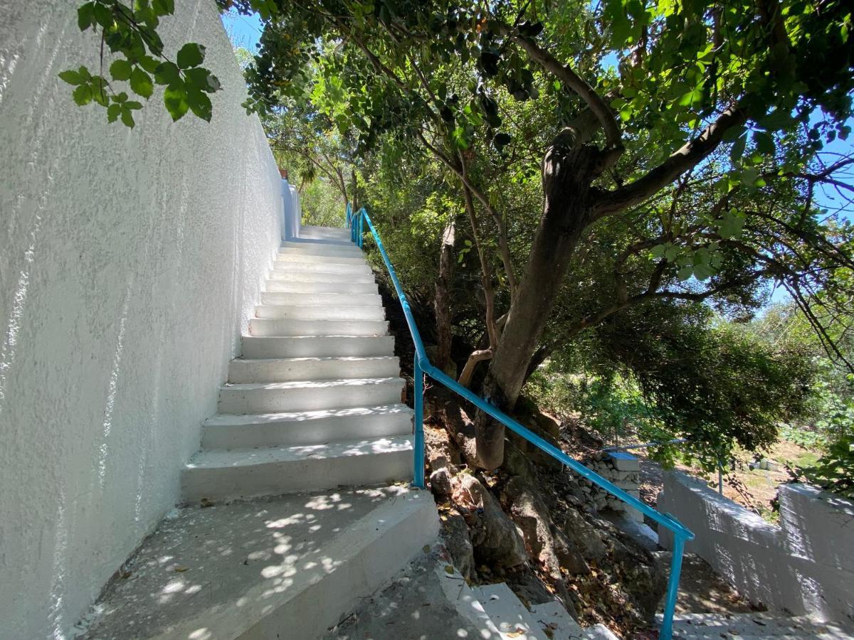 Oleander'S Garden Traditional Cretan Cottage Ферма Экстерьер фото