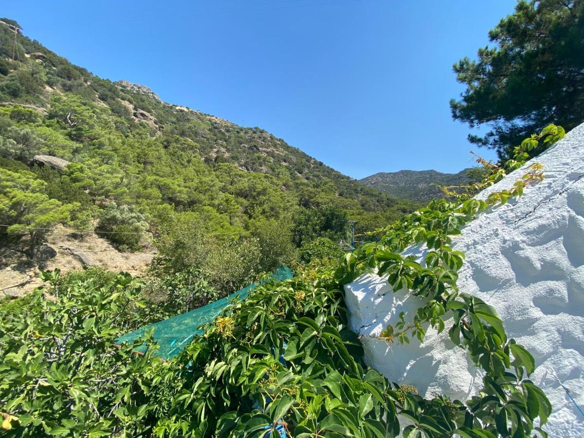 Oleander'S Garden Traditional Cretan Cottage Ферма Экстерьер фото