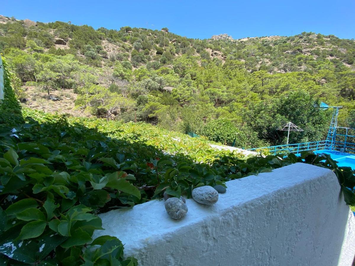 Oleander'S Garden Traditional Cretan Cottage Ферма Экстерьер фото