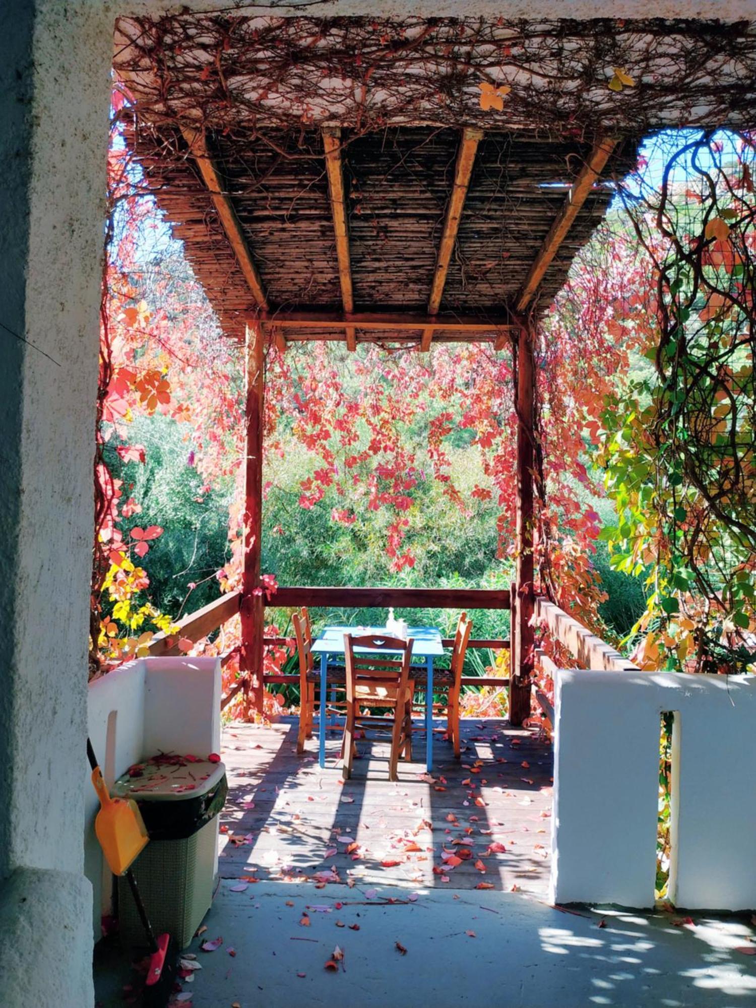 Oleander'S Garden Traditional Cretan Cottage Ферма Экстерьер фото