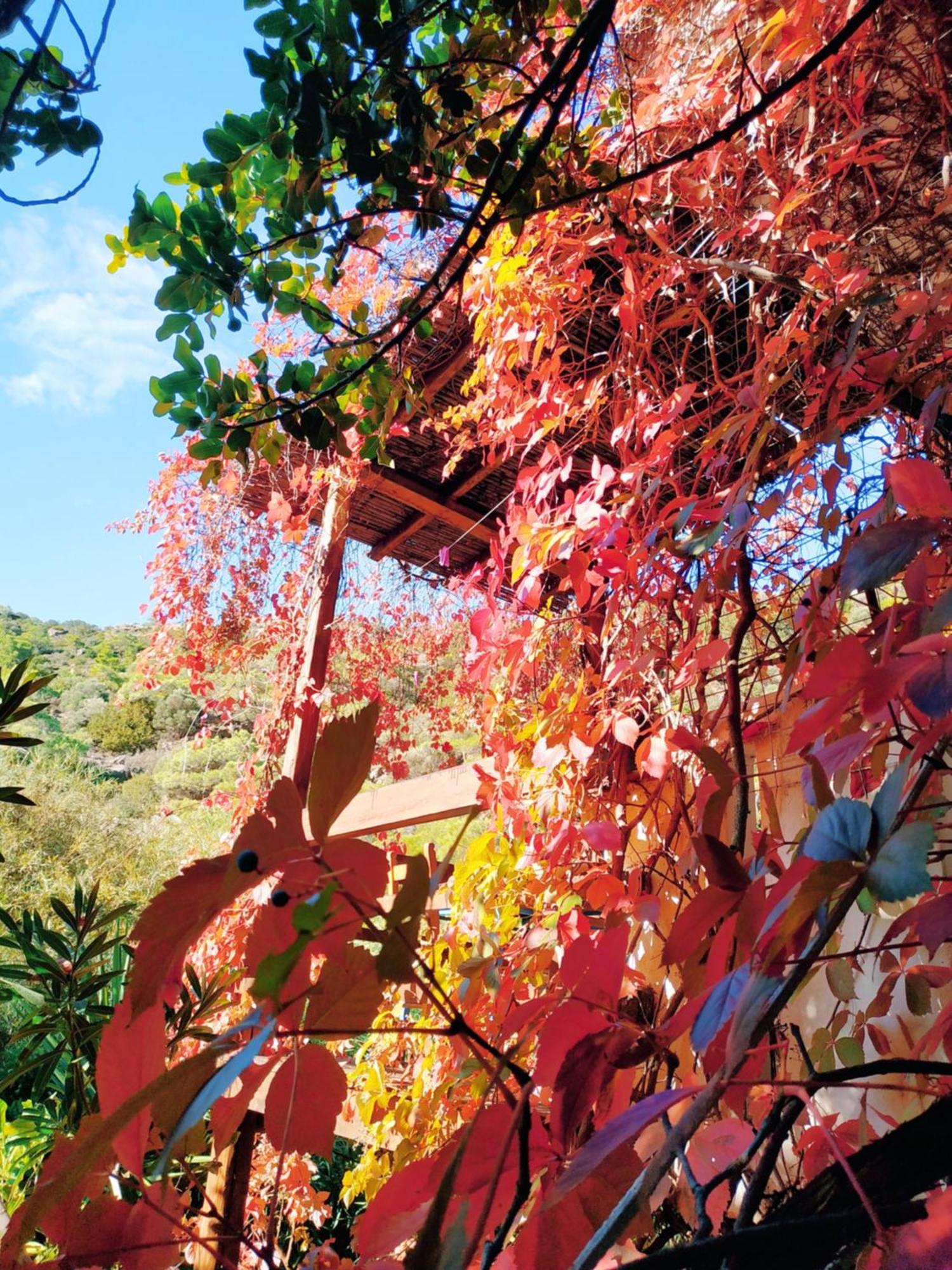 Oleander'S Garden Traditional Cretan Cottage Ферма Экстерьер фото