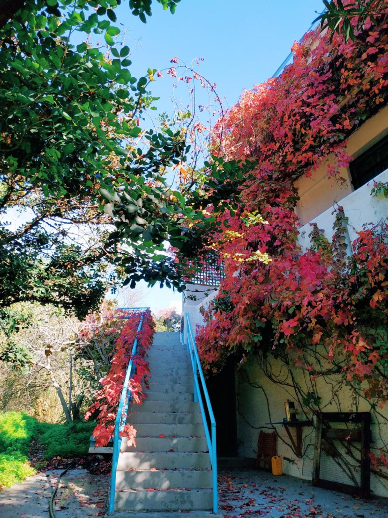Oleander'S Garden Traditional Cretan Cottage Ферма Экстерьер фото