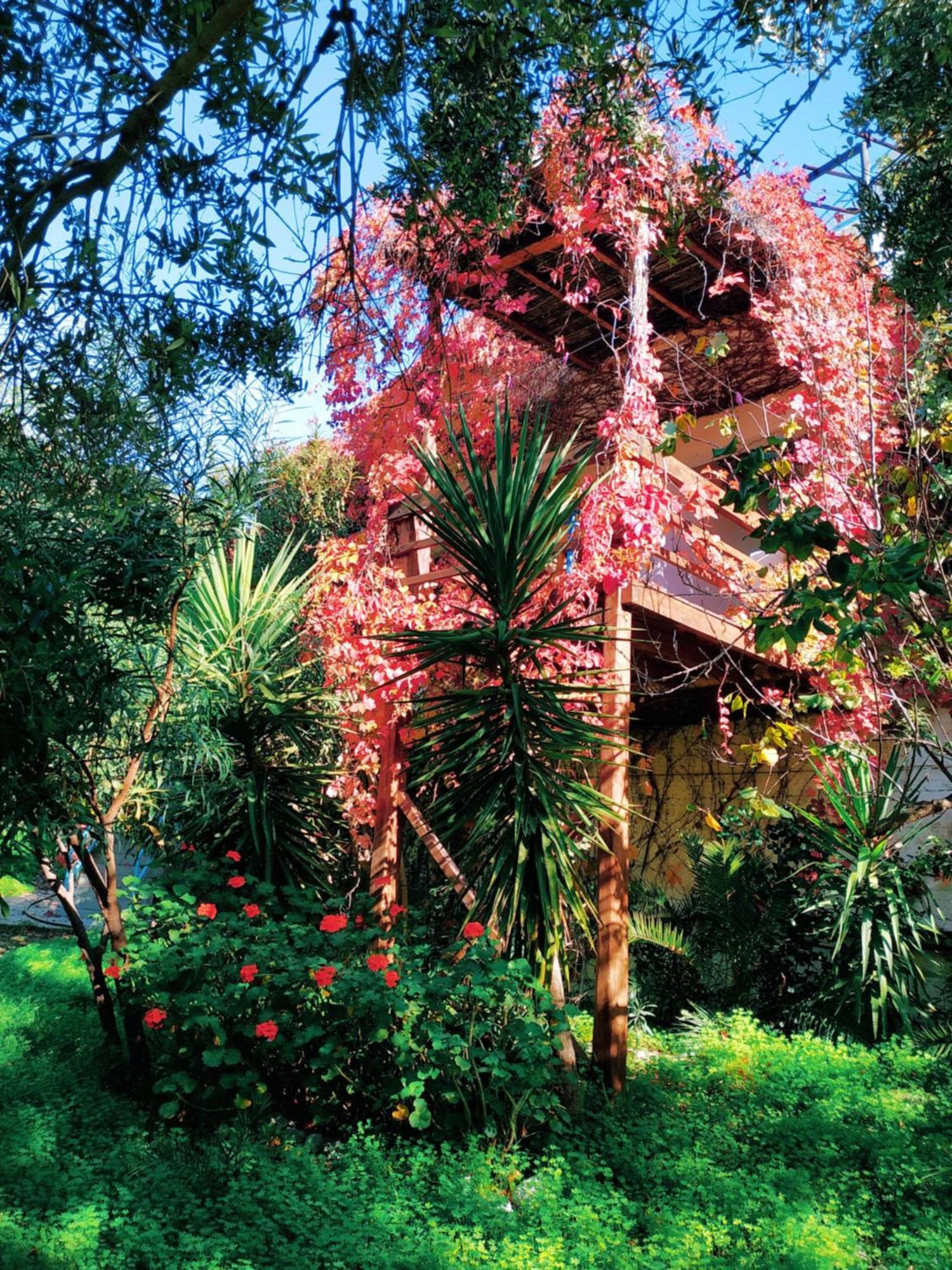 Oleander'S Garden Traditional Cretan Cottage Ферма Экстерьер фото