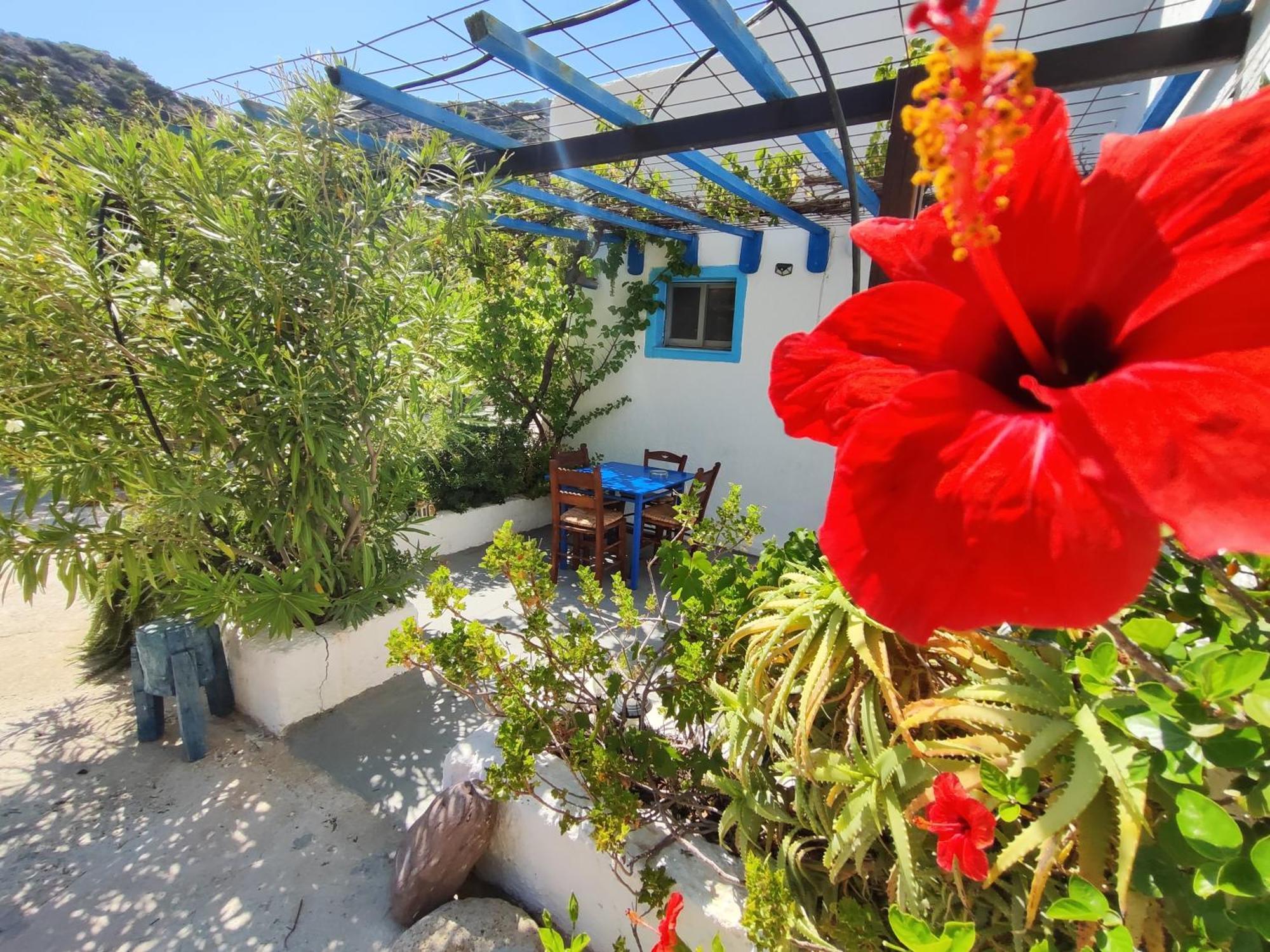 Oleander'S Garden Traditional Cretan Cottage Ферма Экстерьер фото